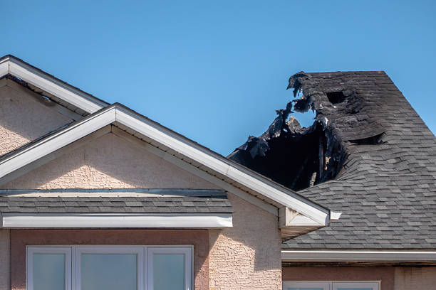 Top rated local Fire Damage Removal specialists in Jackson, NJ